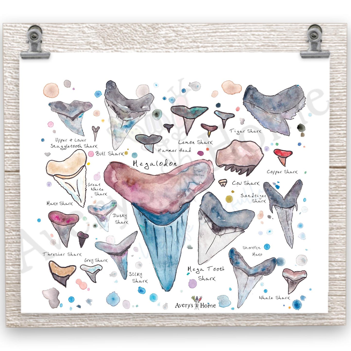 Shark Tooth Collector 20 oz Tumbler