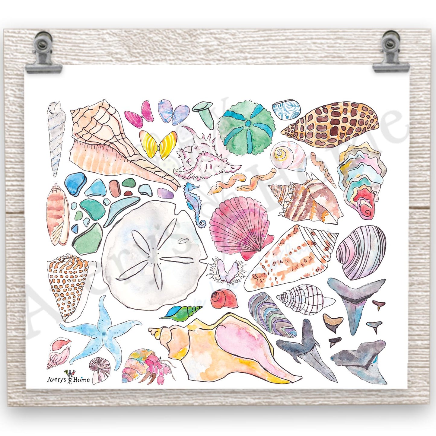 Seashell Collector 20 oz Tumbler