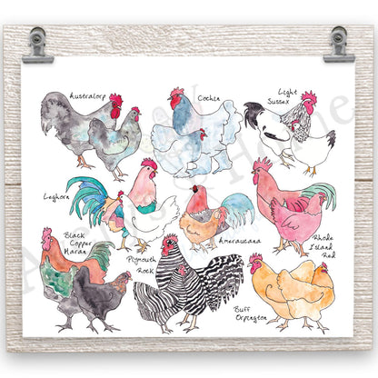 Chicken Breeds 20 oz Tumbler