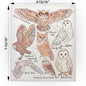 Owls of North America Swedish Cloth