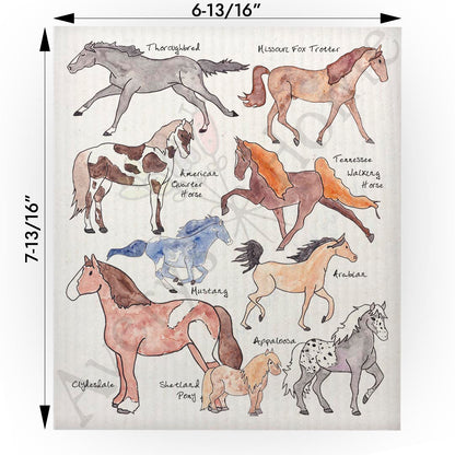Horse Breeds Swedish Cloth