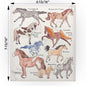Horse Breeds Swedish Cloth