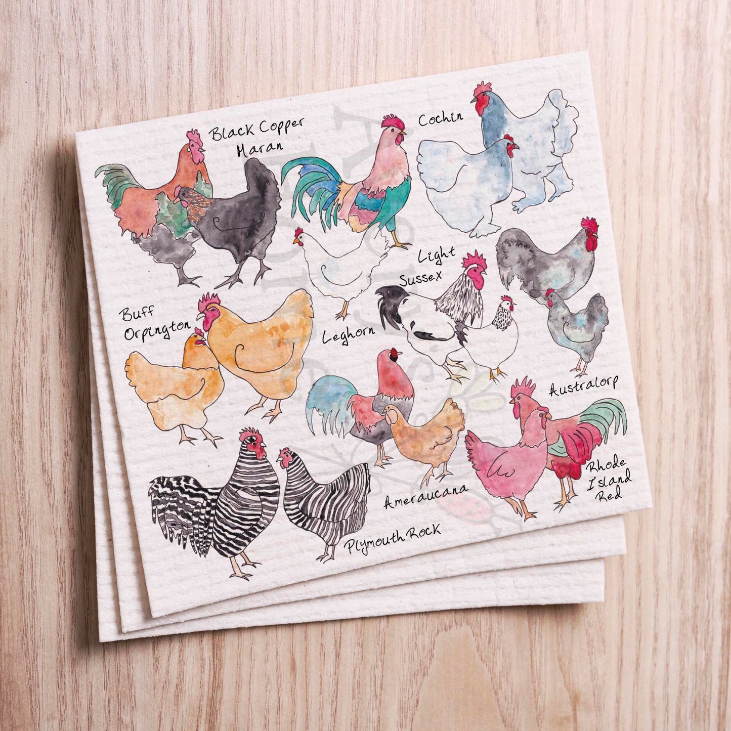Chicken Breeds Swedish Cloth