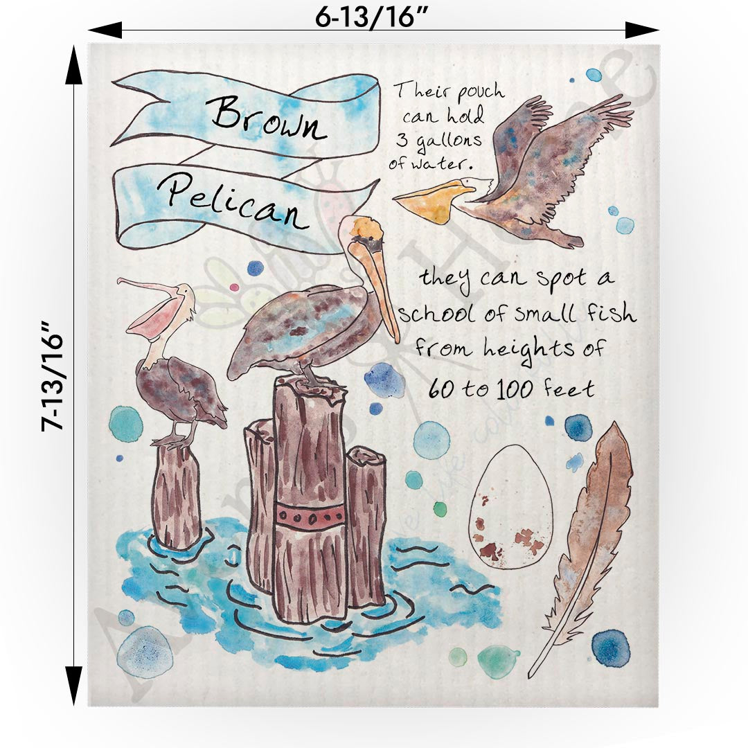Brown Pelican Facts Swedish Cloth