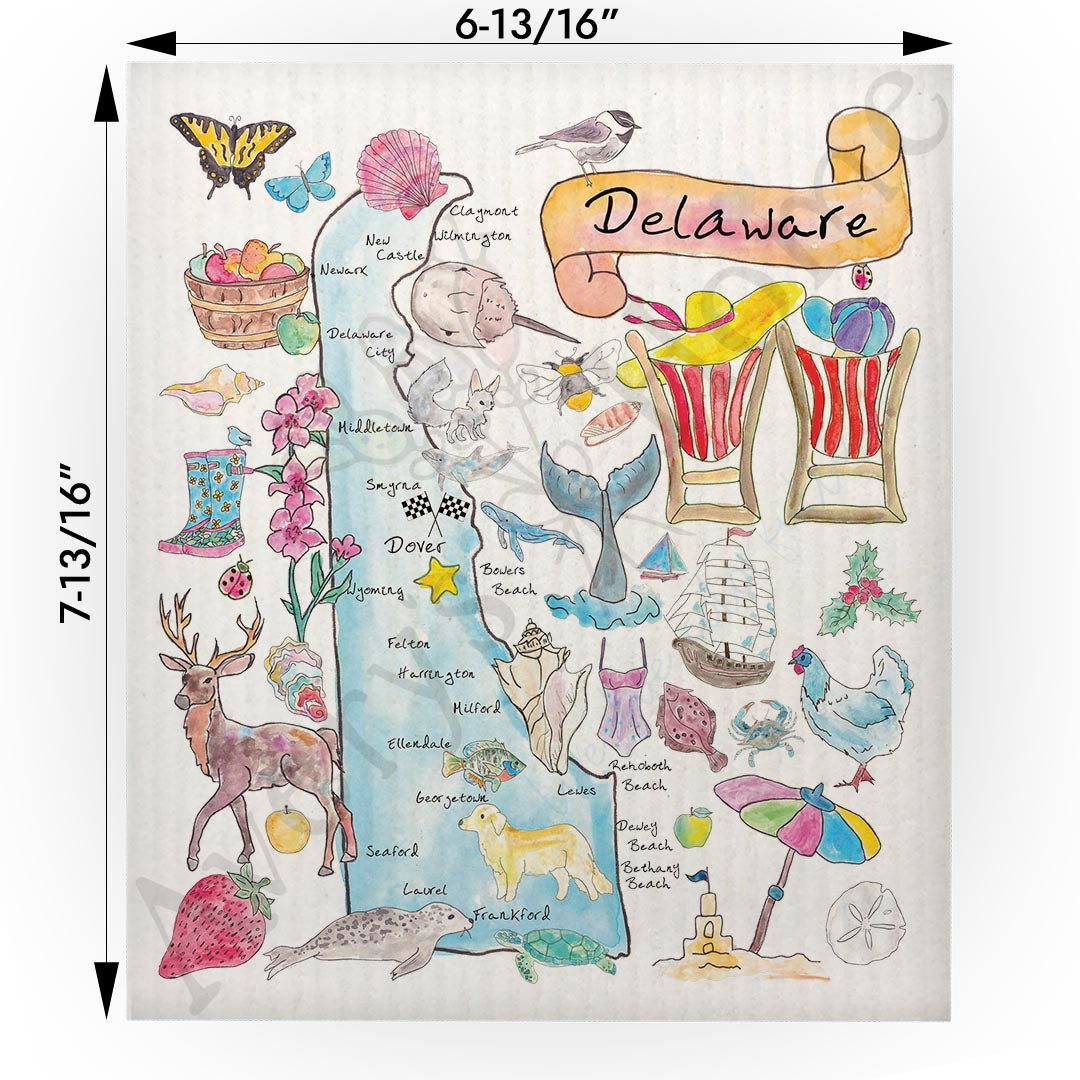 Delaware Map  Swedish Cloth