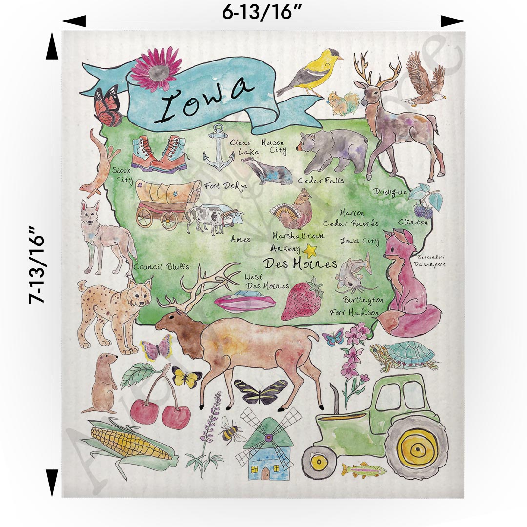 Iowa Map Swedish Cloth