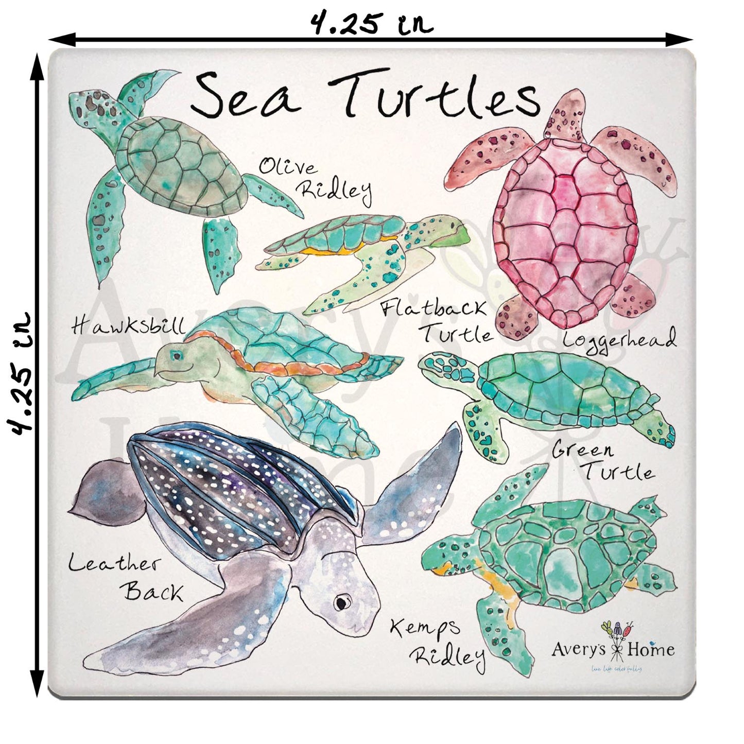 Sea Turtle Species Stone Coaster