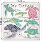 Sea Turtle Species Stone Coaster