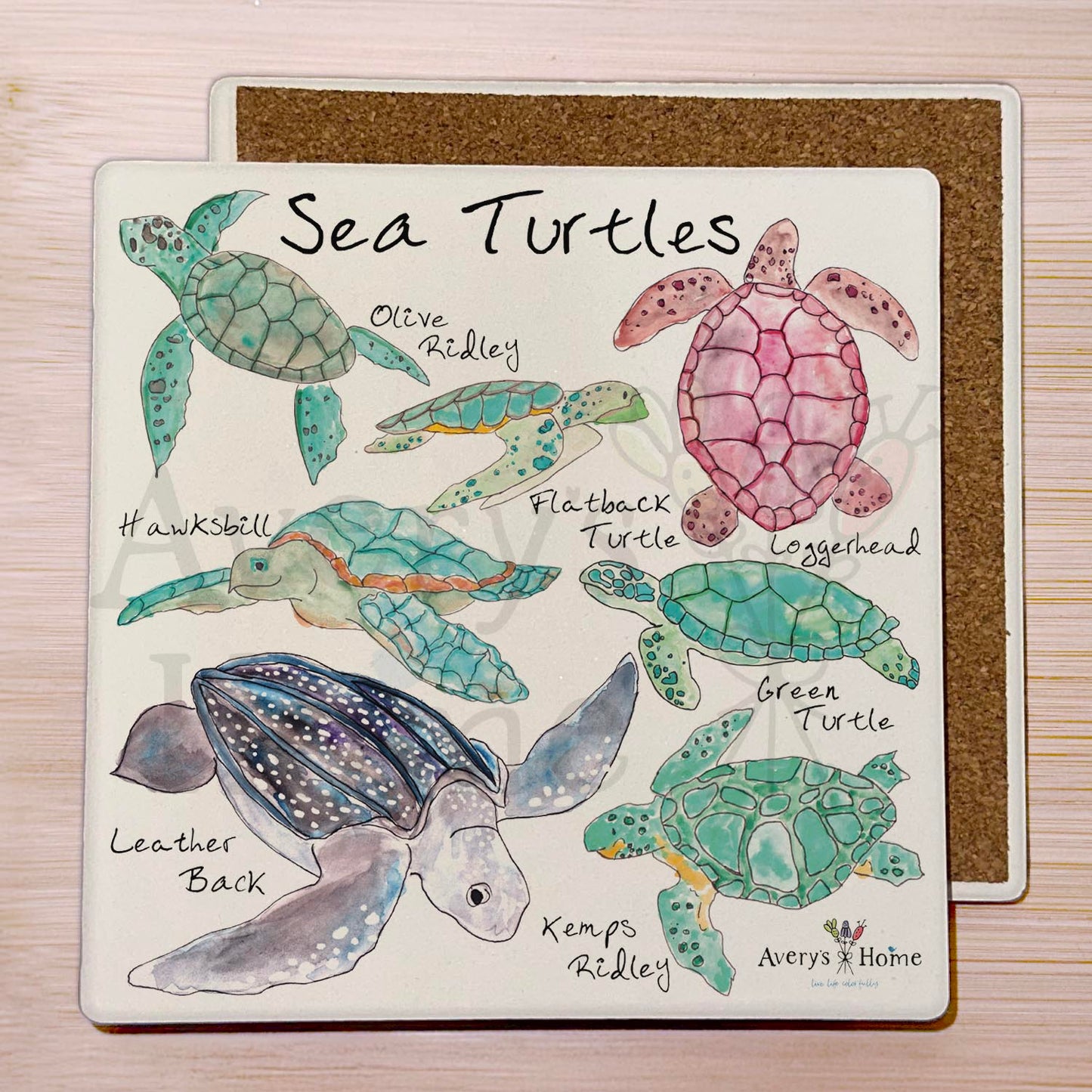 Sea Turtle Species Stone Coaster