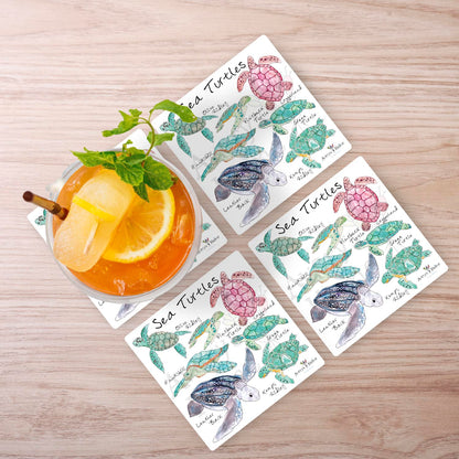 Sea Turtle Species Stone Coaster