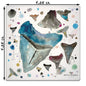Shark Teeth Stone Coaster