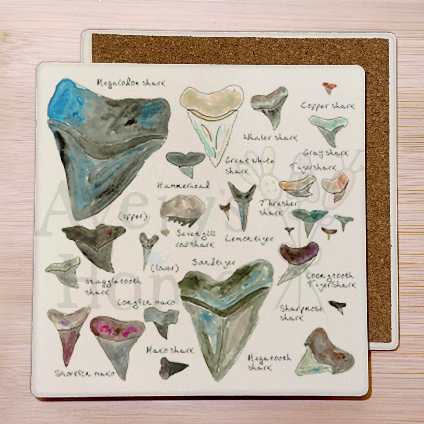 Shark Tooth Collector Stone Coaster