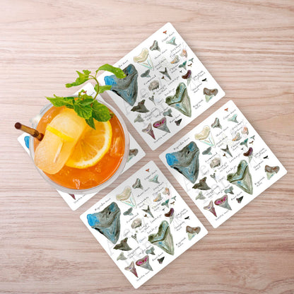 Shark Tooth Collector Stone Coaster