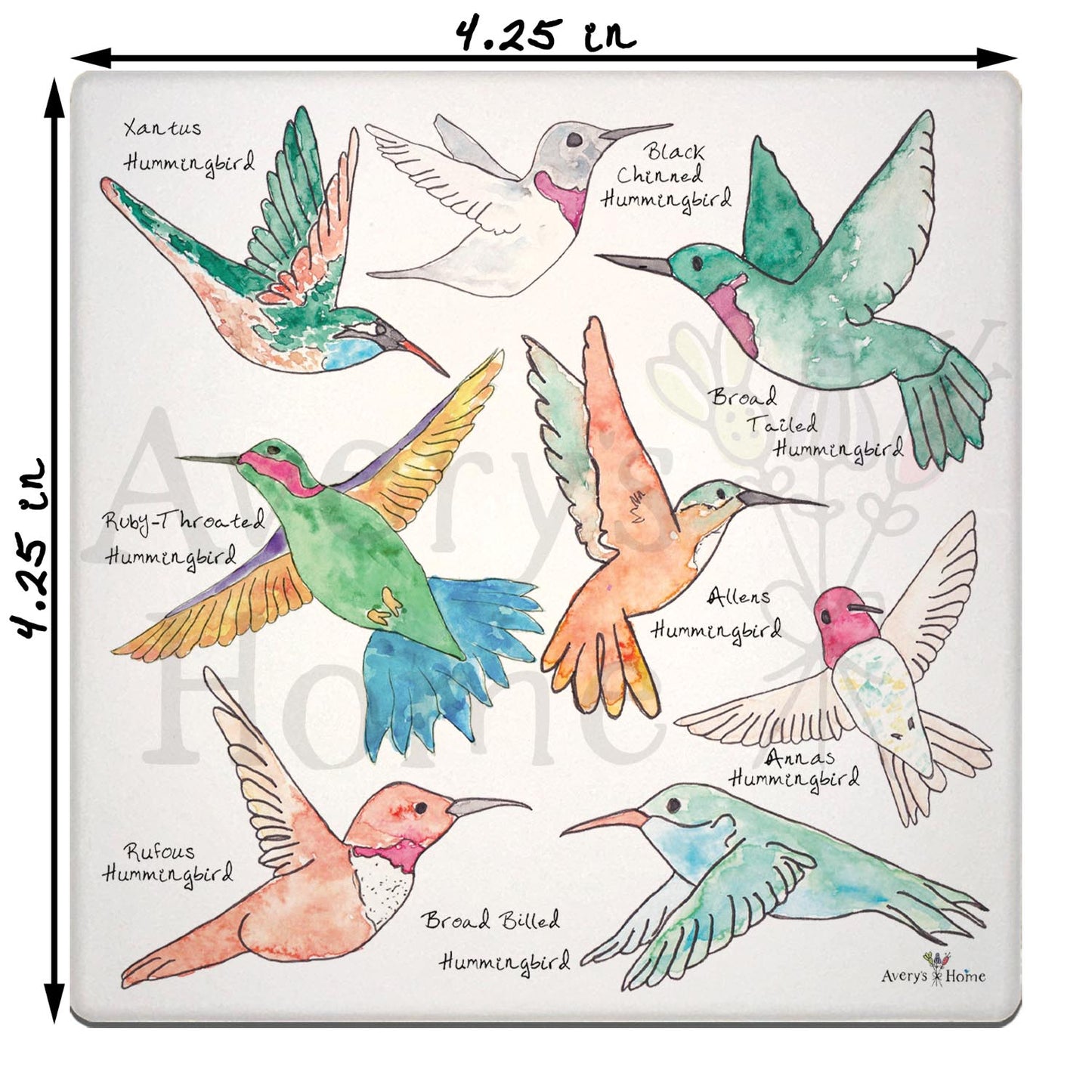 Hummingbirds of North America Stone Coaster