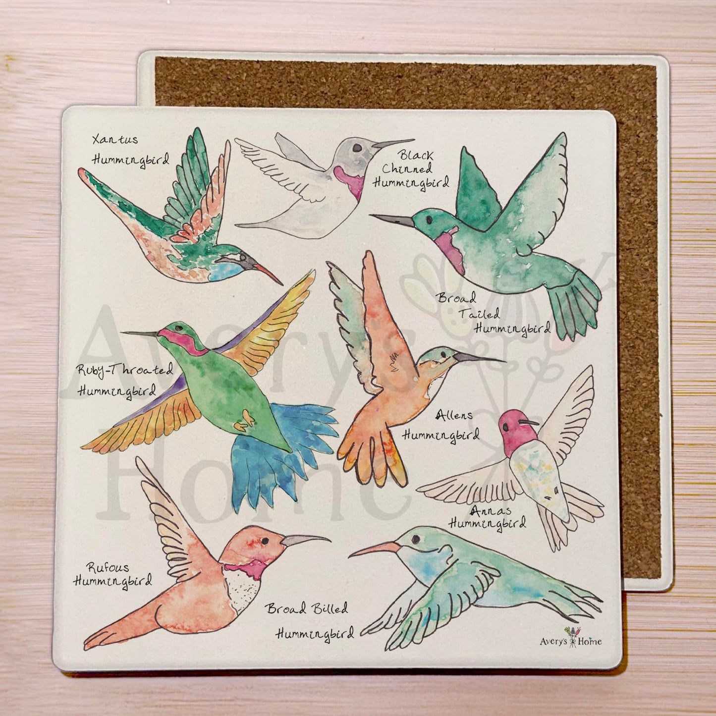 Hummingbirds of North America Stone Coaster