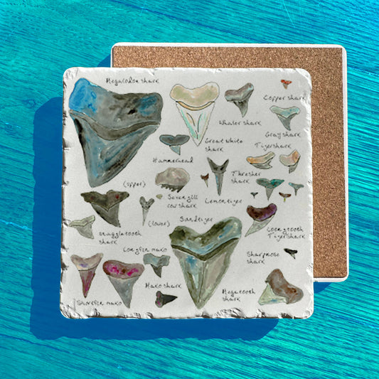Shark Teeth Collector Tumbled Stone Trivet – Collector Chart Gift