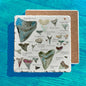 Shark Teeth Collector Tumbled Stone Trivet – Collector Chart Gift